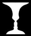 face-vase-optical-illusion.jpg