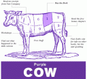 purple-cow.gif