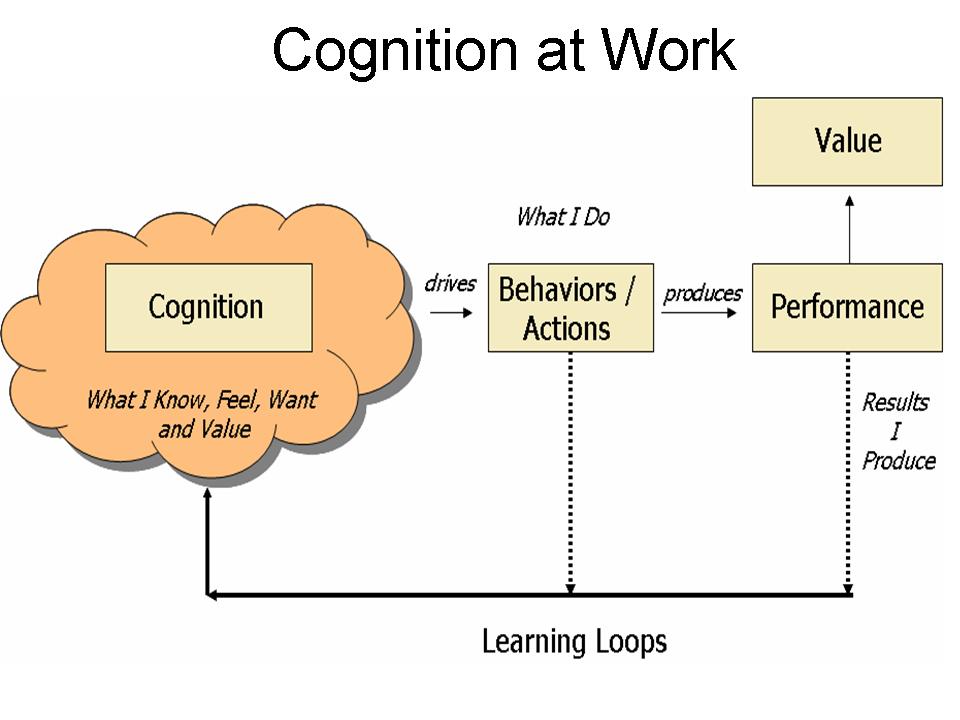 Cognition Cognition