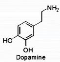 dopamine.jpg